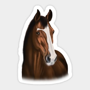 Realistic Brown/Red Horse with Blaze Sticker